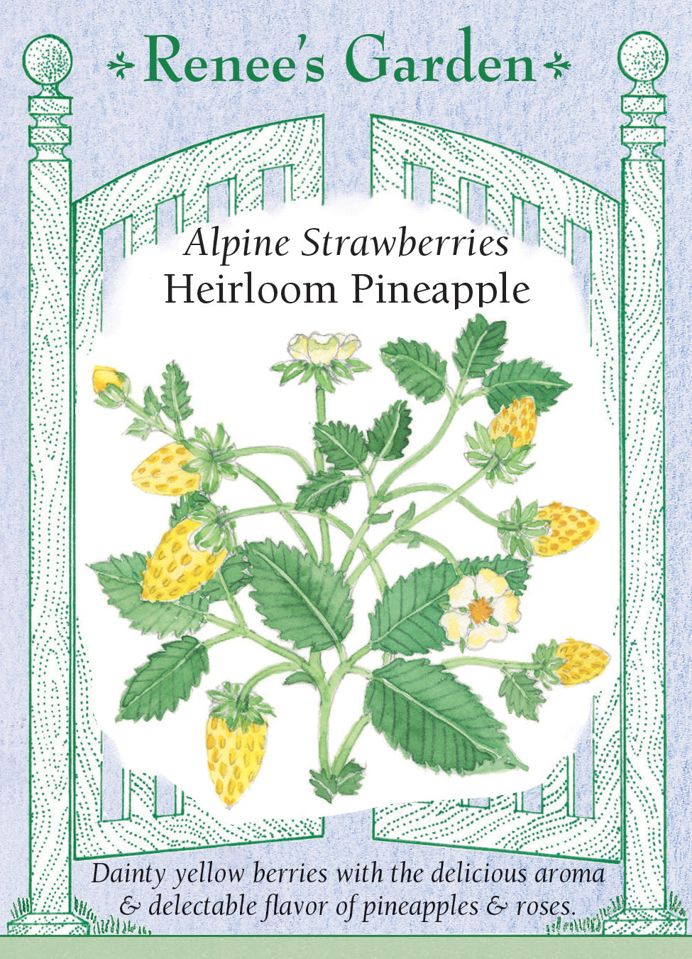 Heirloom Pineapple