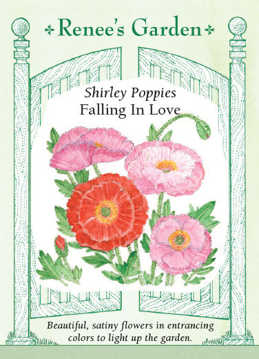 Falling In Love' Shirley Poppies