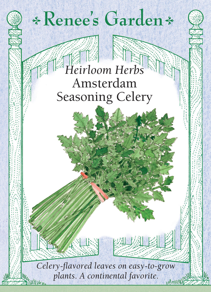Amsterdam Seasoning Celery