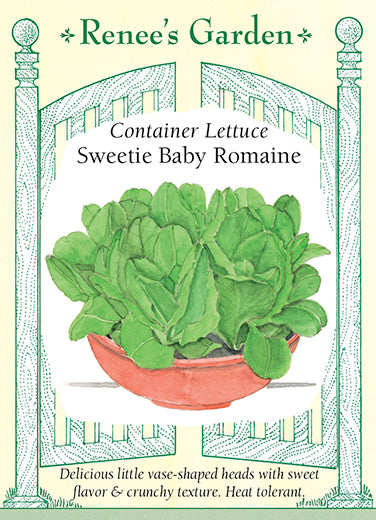 'Sweetie Baby Romaine' Container Lettuce | Renee's Garden Seeds