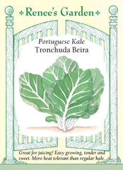 Tronchuda Beira