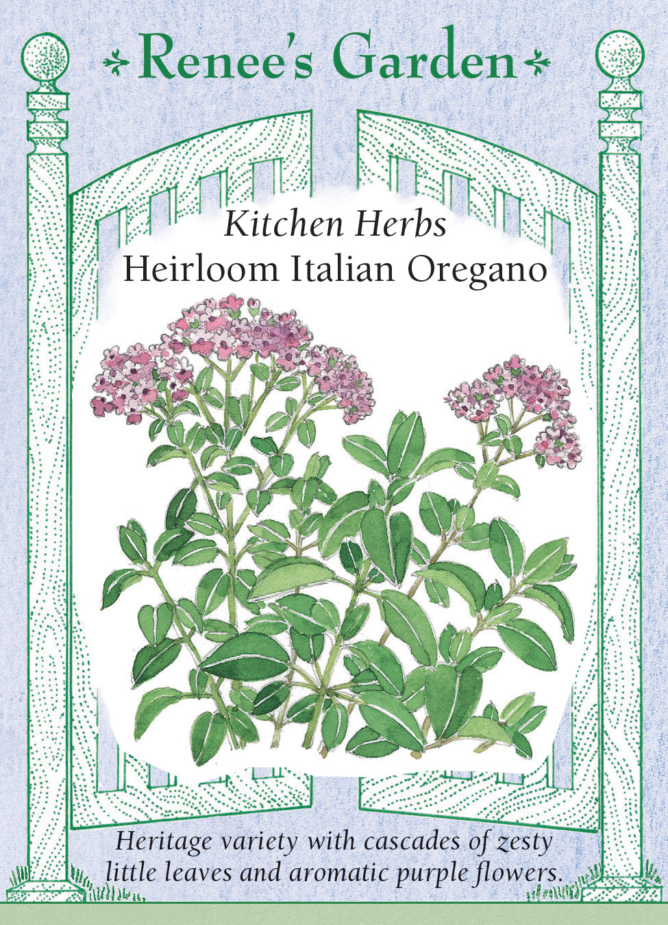 Heirloom Italian Oregano