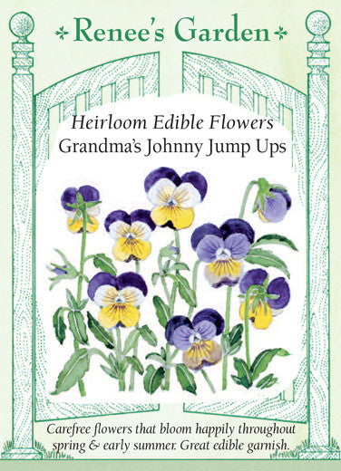 Top 10 edible flowers  Edible flower garden, Edible flowers