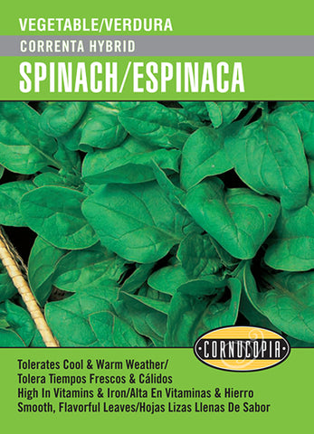 'Correnta Hybrid' Spinach/Espinaca - Spanish/English