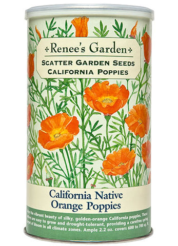 Give Beauty And Abundance With Our Scatter Garden Blends