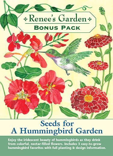 Floral Hummingbird Garden