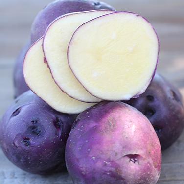 Huckleberry Gold: The First Low Glycemic Potato!