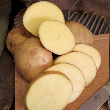 Rubygem Potatoes Yukon Gem | Renee's Garden Seeds