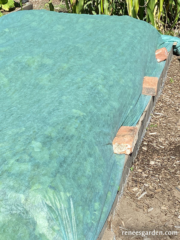 Agryl Floating Row Cover – Renee's Garden