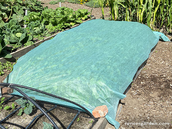 Vertical Floating Rows Agryl Floating Row Cover – Renee's Garden