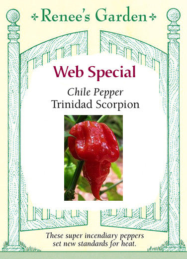 Trinidad Scorpion