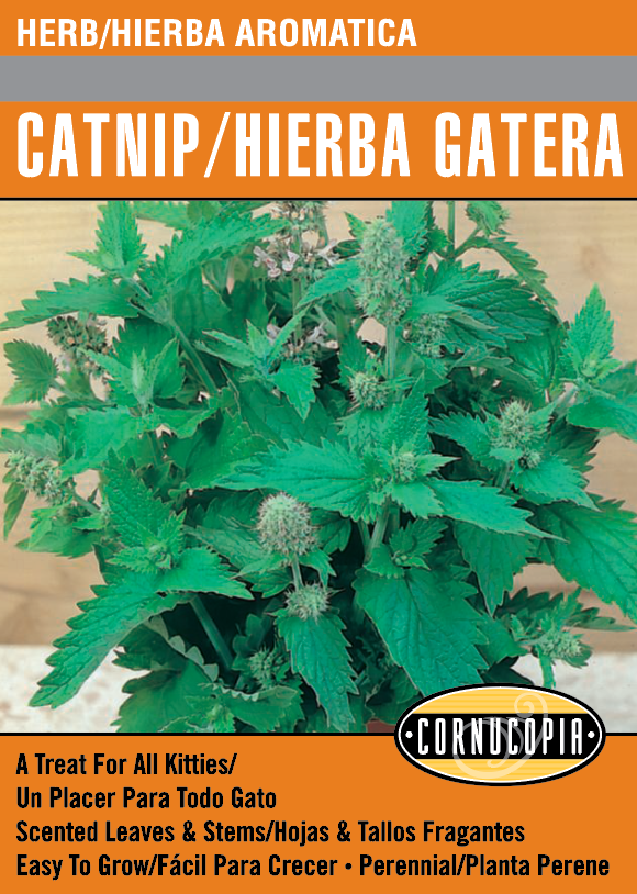 Catnip/Hierba Gatera - Spanish/English