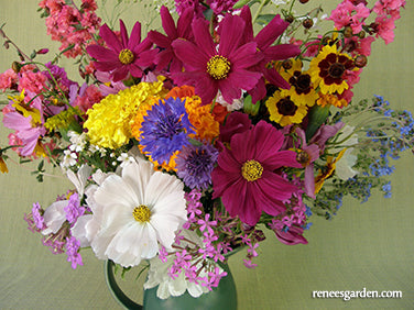 Endless Bouquets Cut Flower Garden