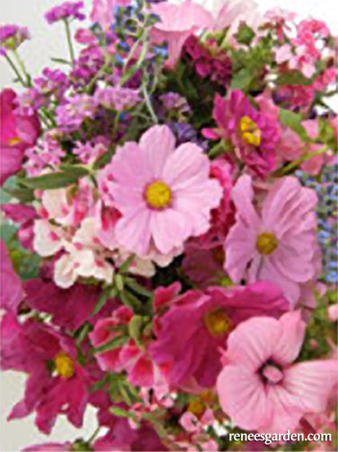 Endless Bouquets Cut Flower Garden