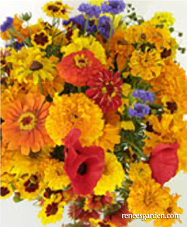Endless Bouquets Cut Flower Garden