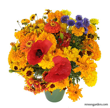 Endless Bouquets Cut Flower Garden