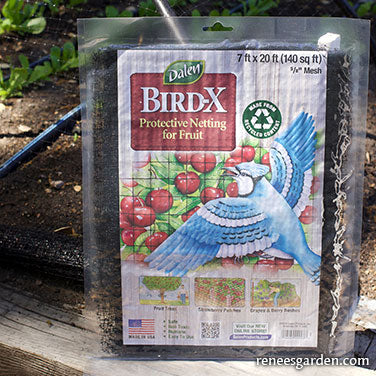 Bird X Netting: Critical Seedling Protection