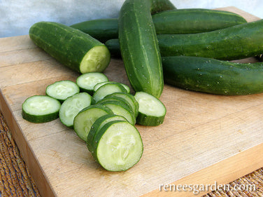 Tasty Green