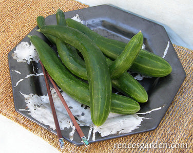 Tasty Green