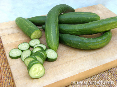 Tasty Green