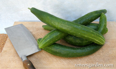Tasty Green
