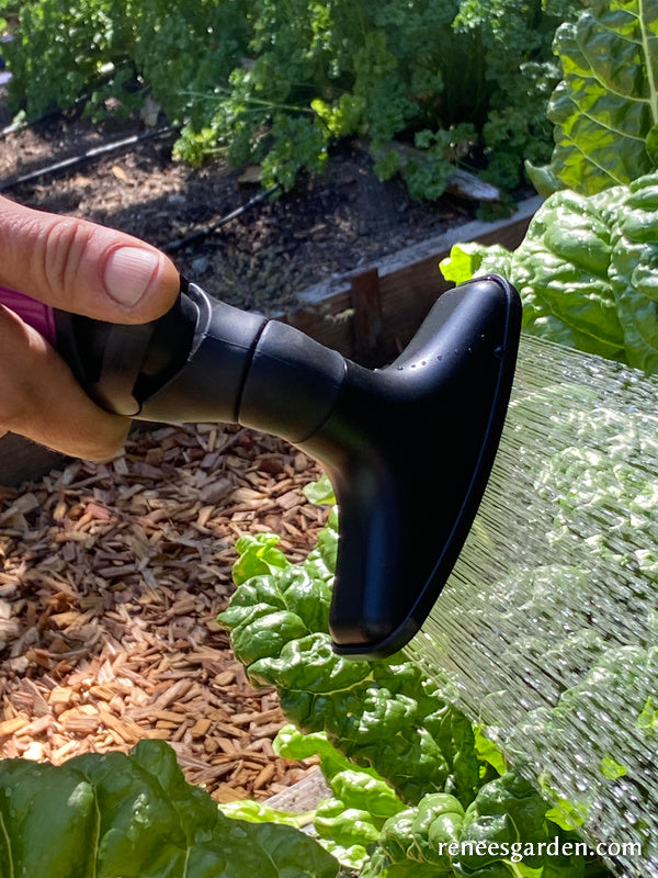 Dramm One Touch Fan Nozzle