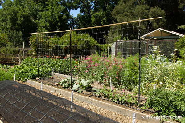 Hortonova Trellis Netting
