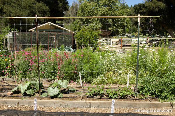 Hortonova Trellis Netting