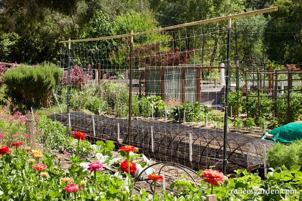 Hortonova Trellis Netting
