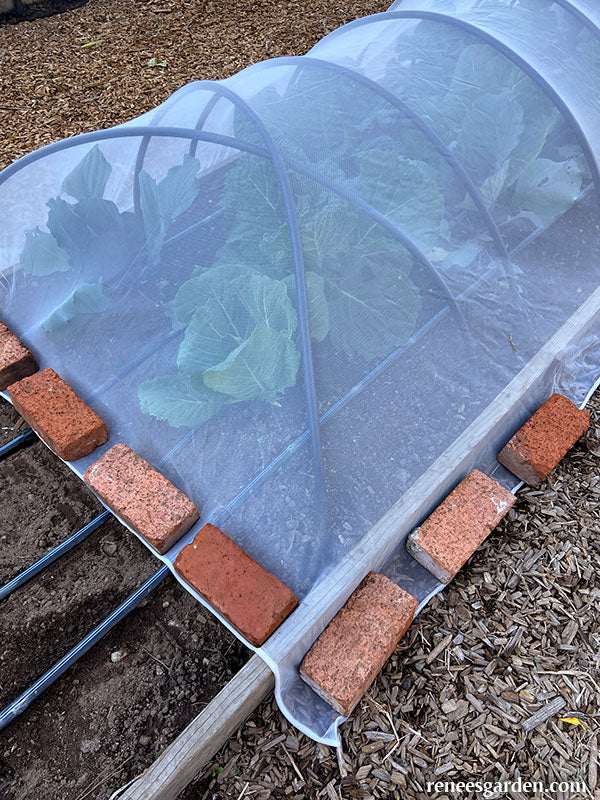 Insect Barrier Cladding ProtekNet Insect Barrier Netting – Renee's Garden