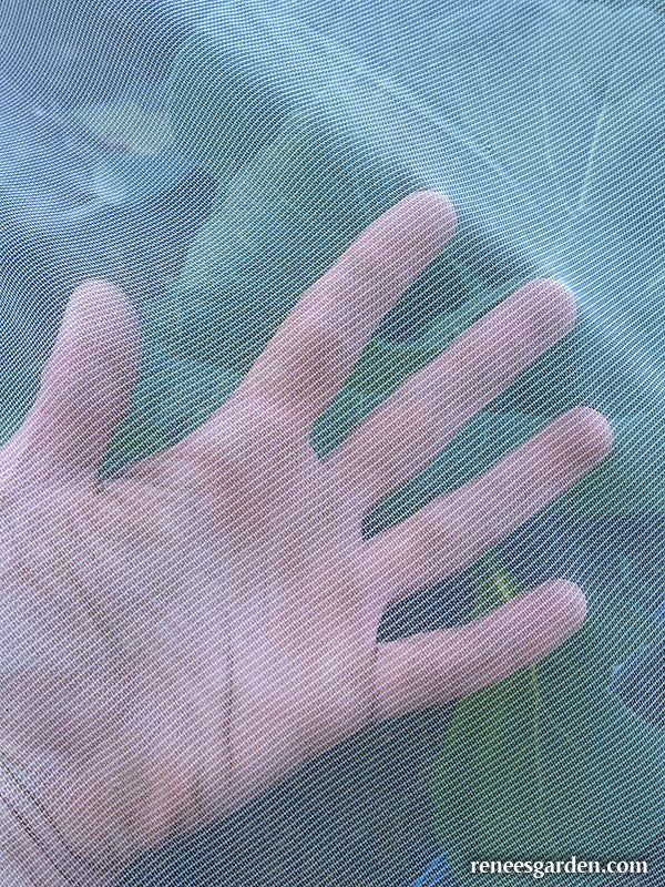 ProtekNet Insect Barrier Netting – Renee's Garden