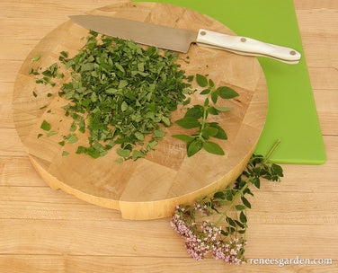 Heirloom Italian Oregano