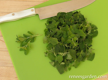 Heirloom Italian Oregano