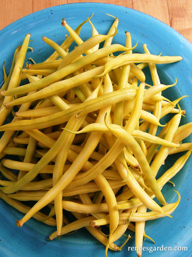 Roc d'Or