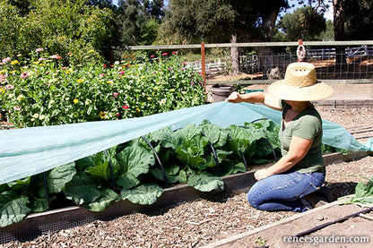 Agryl Floating Row Cover