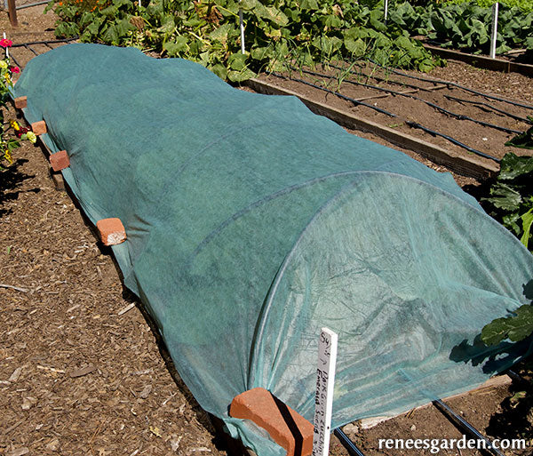 Vertical Floating Rows Agryl Floating Row Cover – Renee's Garden