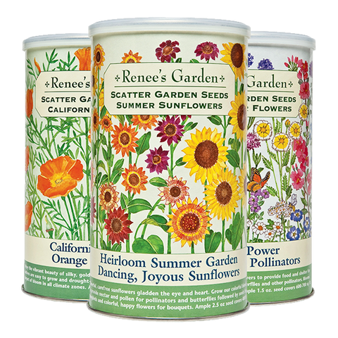Scatter Garden Canisters