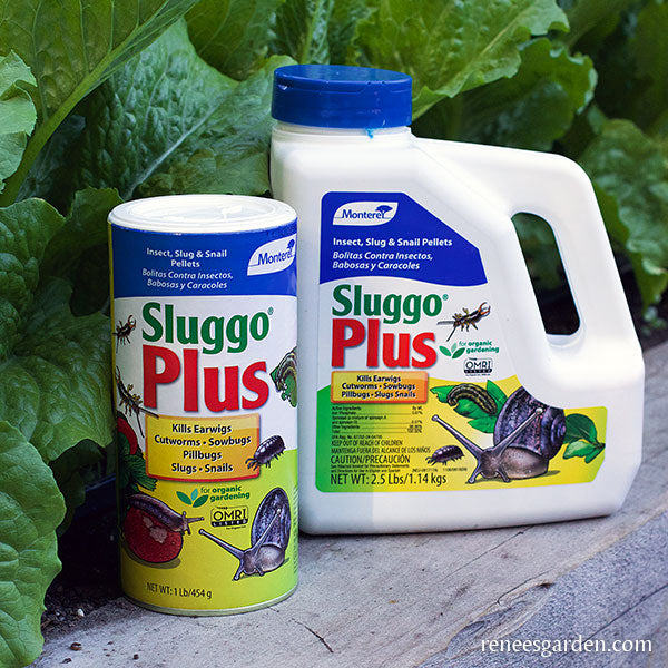 Sluggo Insecticide Sluggo Plus – Renee's Garden