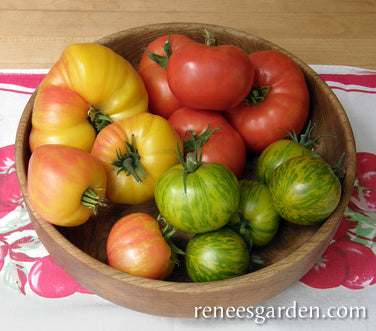 Rainbow Heirloom Slicer Tomato Variety 4-pack