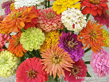Granny’s Bouquet