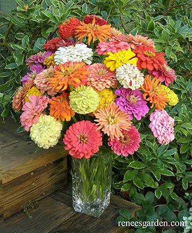 Granny’s Bouquet