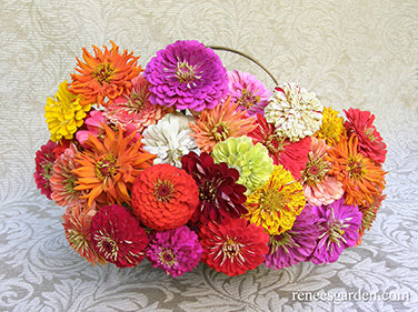 Granny’s Bouquet