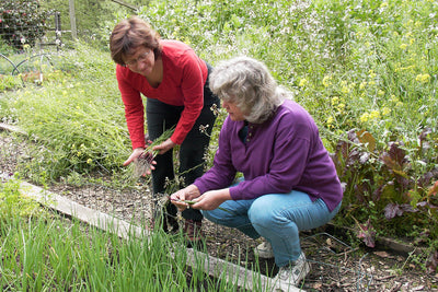 Two women observing plants.